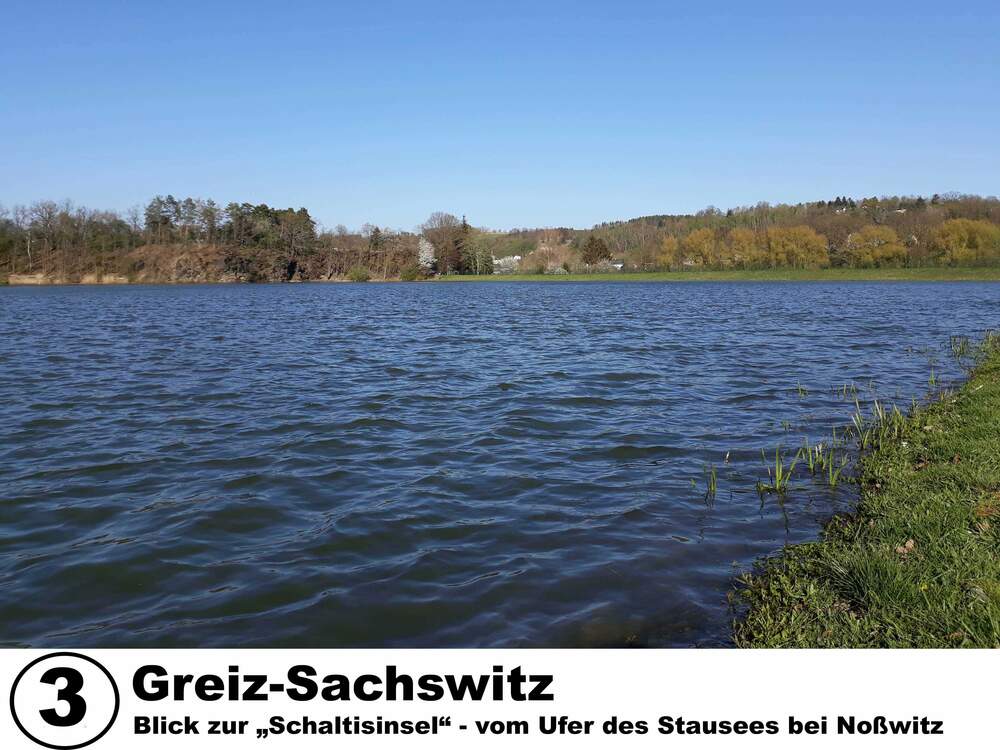 Blick zu "Schaltisinsel" vom Ufer des Stausees bei Noßwitz