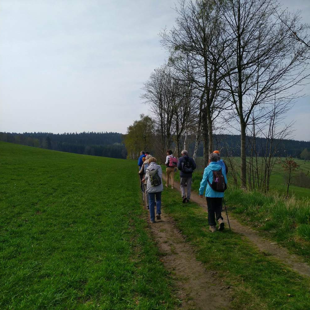 03-Weg zum Wald NSG Steinberg