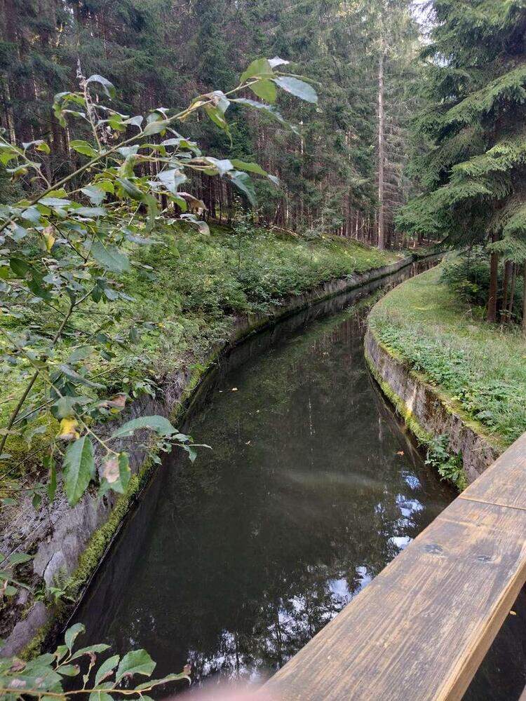 Bild05-Der Hirschsprungkanal bei der Holzbrücke